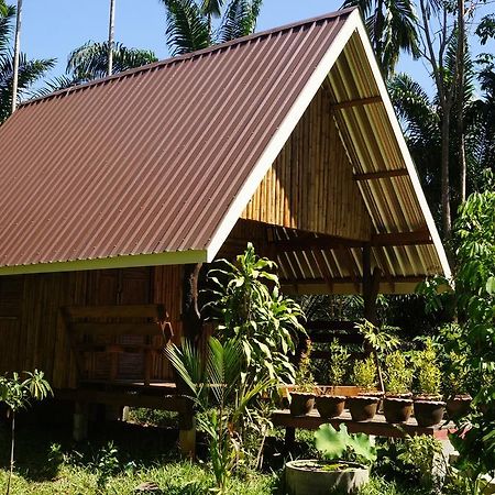 Khao Sok Jungle Resort Khao Sok National Park Zimmer foto