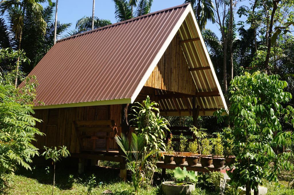 Khao Sok Jungle Resort Khao Sok National Park Zimmer foto