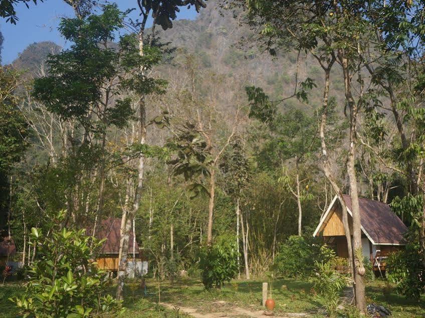 Khao Sok Jungle Resort Khao Sok National Park Exterior foto